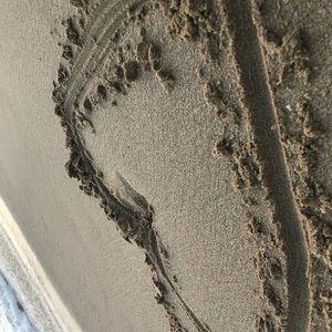 Meet your Posher, Giah